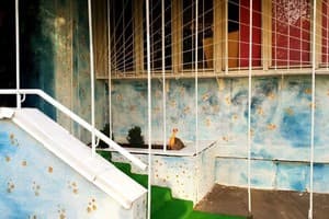 777 метро Харьковская 10